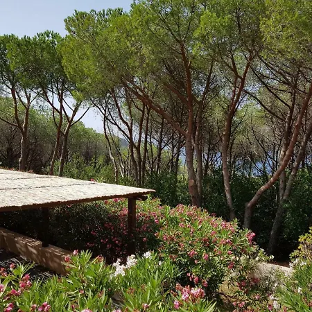 Villino I Pini *